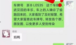 严惩不贷最新爆料,揭秘事件背后惊人内幕