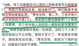 爆料撕春联男子视频,一场引发网友热议的邻里冲突